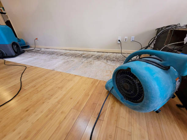 Reliable Crawl Space Water Removal contractor in Fitchburg, WI by Hirex Water Damage