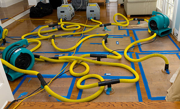 Professional Crawl Space Water Removal technician working in Fitchburg, WI